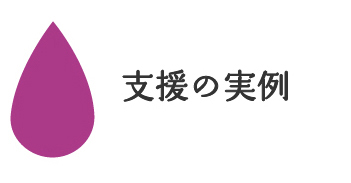 支援の実例